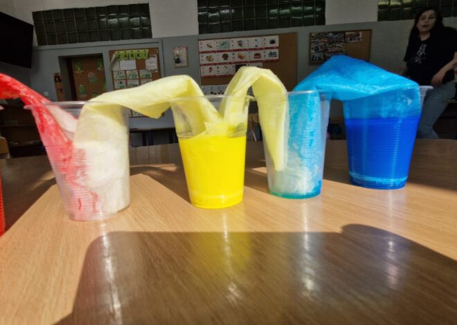 Międzynarodowy Dzień Matematyki